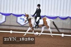 21YN_18280 thumbnail