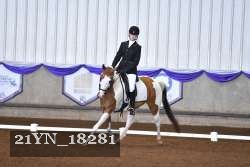 21YN_18281 thumbnail
