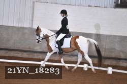 21YN_18283 thumbnail