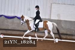 21YN_18284 thumbnail