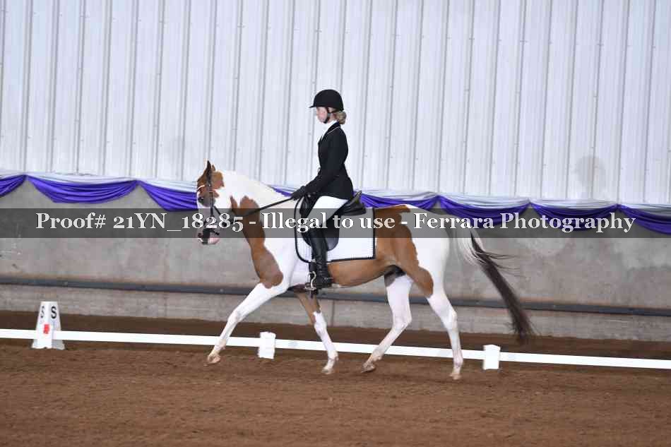 Proof Number 21YN_18285