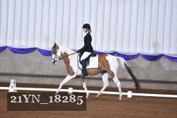 21YN_18285 thumbnail