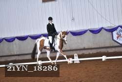 21YN_18286 thumbnail