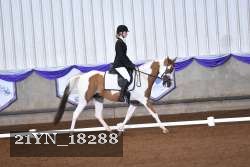 21YN_18288 thumbnail