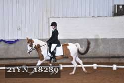 21YN_18289 thumbnail