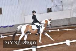 21YN_18290 thumbnail