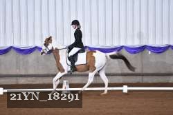 21YN_18291 thumbnail