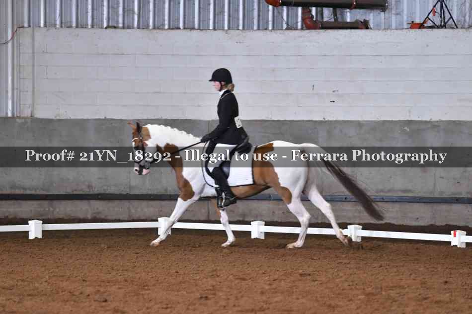 Proof Number 21YN_18292