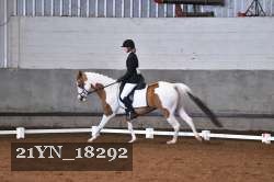 21YN_18292 thumbnail