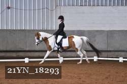 21YN_18293 thumbnail