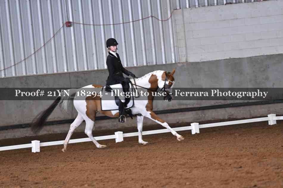 Proof Number 21YN_18294