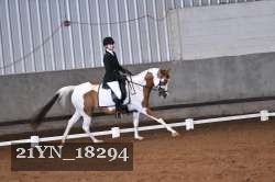 21YN_18294 thumbnail