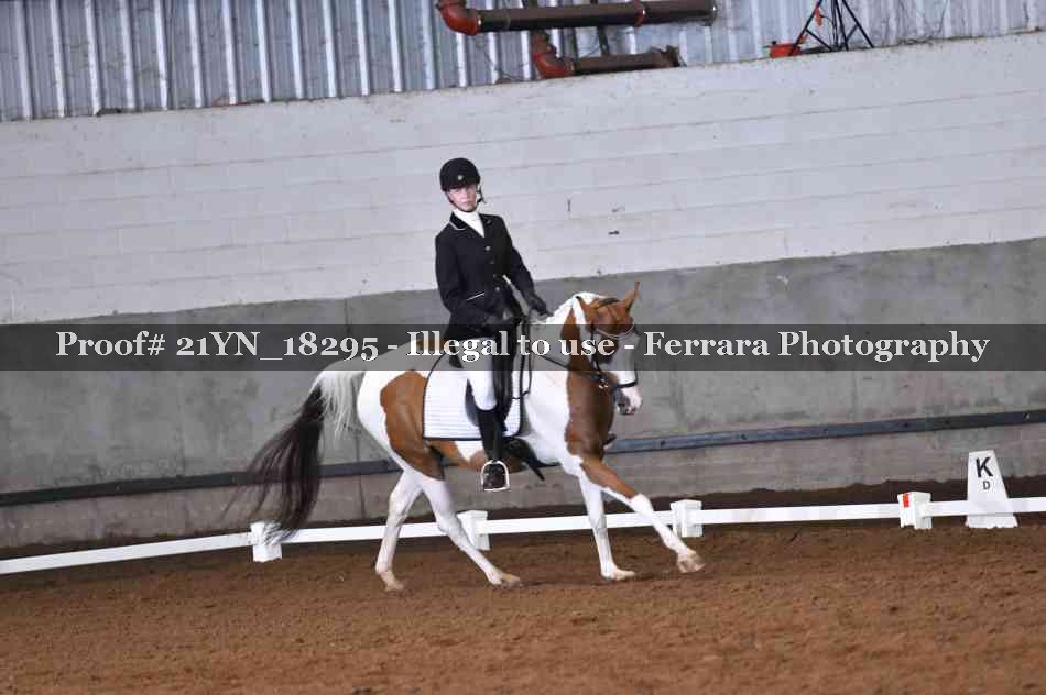 Proof Number 21YN_18295