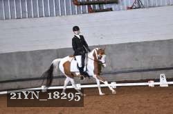 21YN_18295 thumbnail