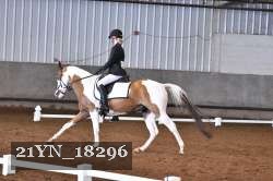 21YN_18296 thumbnail