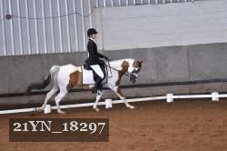 21YN_18297 thumbnail