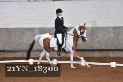 21YN_18300 thumbnail