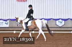 21YN_18301 thumbnail