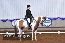 21YN_18302 thumbnail
