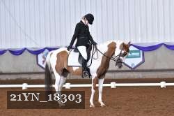 21YN_18303 thumbnail
