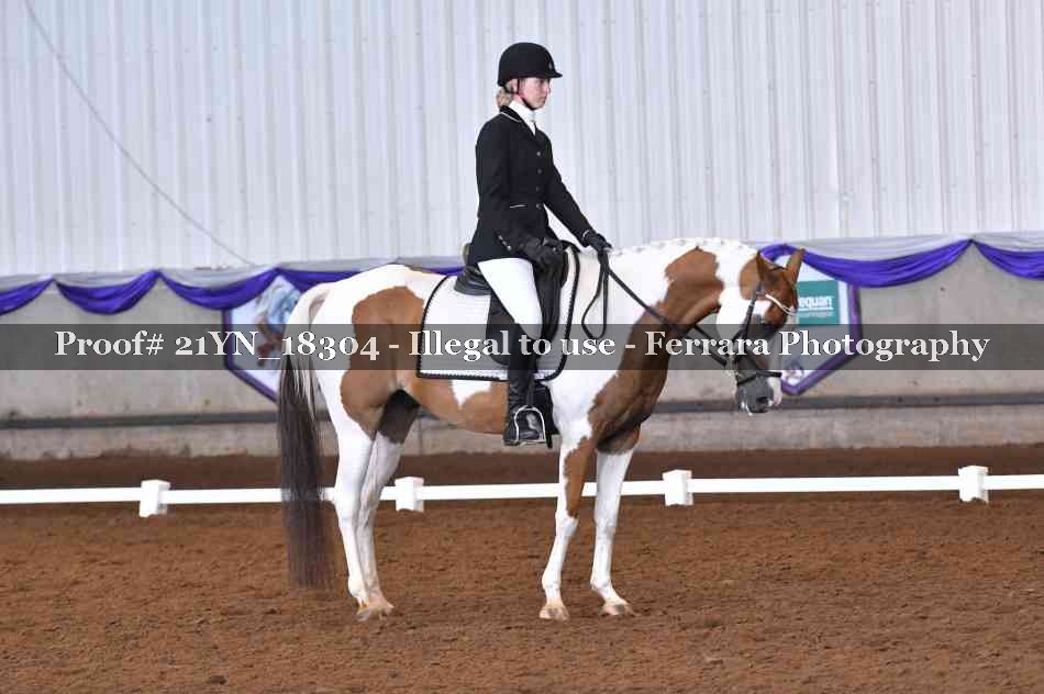 Proof Number 21YN_18304