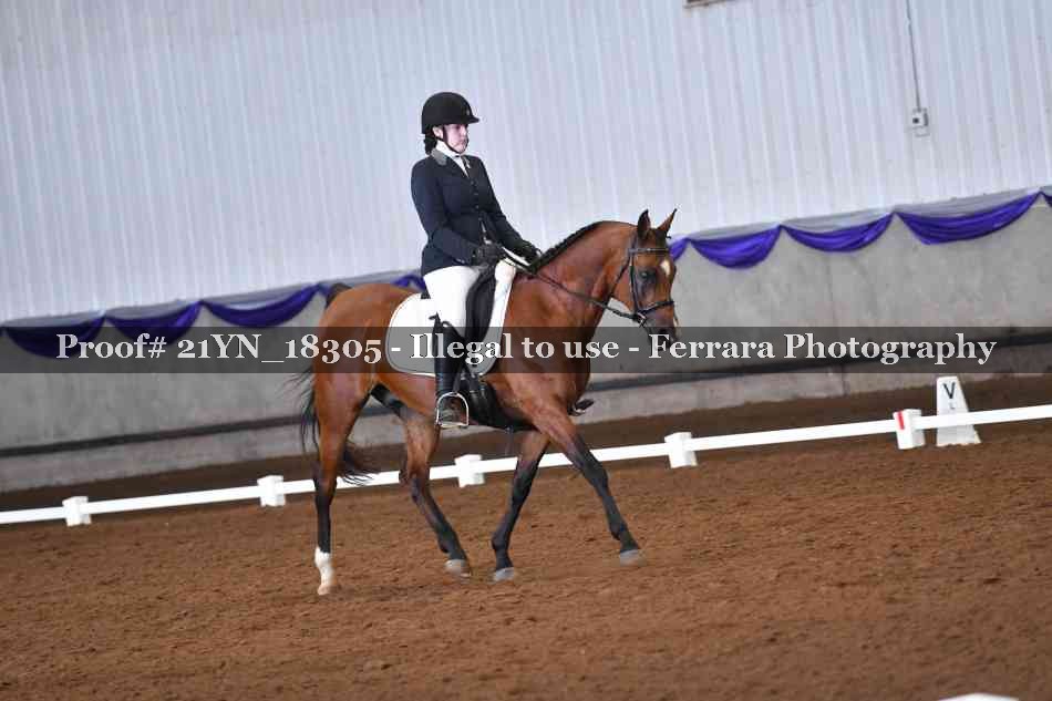 Proof Number 21YN_18305