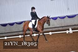 21YN_18305 thumbnail