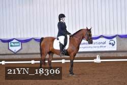 21YN_18306 thumbnail