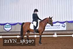 21YN_18307 thumbnail