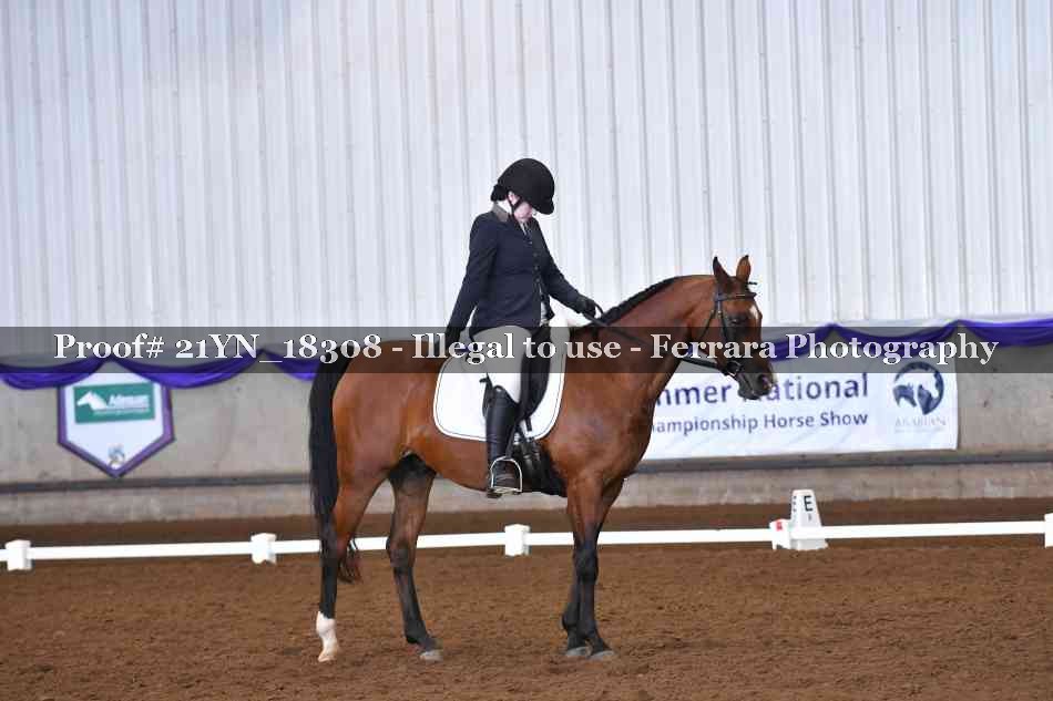 Proof Number 21YN_18308