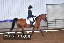 21YN_18309 thumbnail