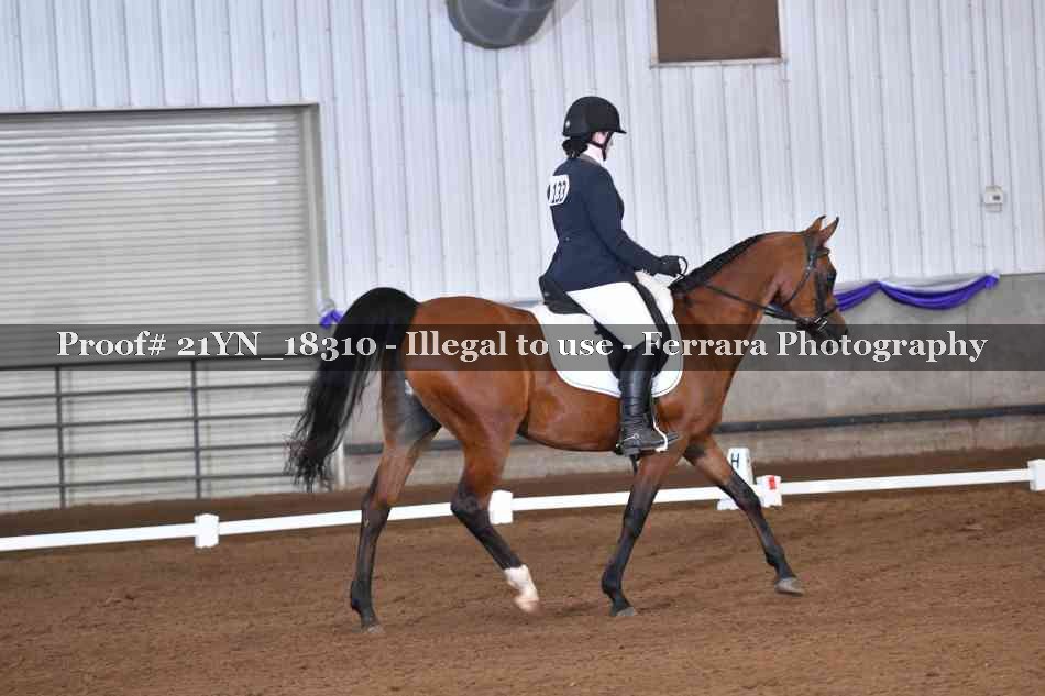 Proof Number 21YN_18310