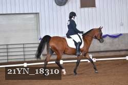 21YN_18310 thumbnail