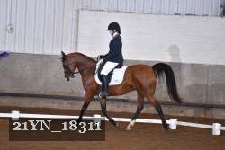 21YN_18311 thumbnail