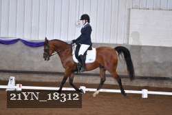21YN_18312 thumbnail