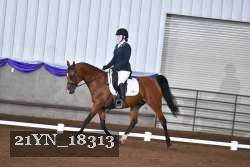 21YN_18313 thumbnail