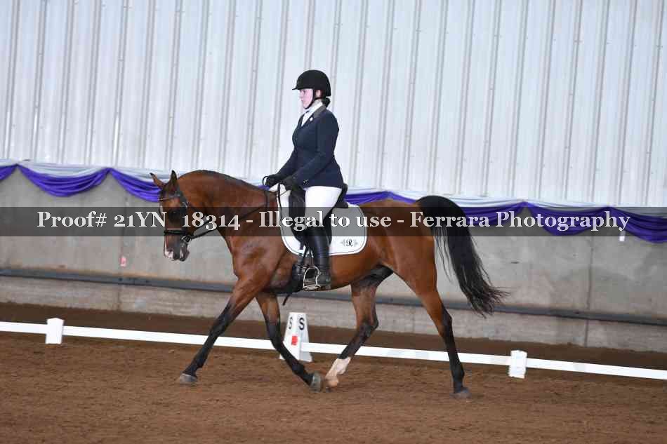Proof Number 21YN_18314