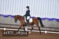 21YN_18314 thumbnail