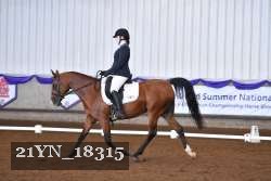 21YN_18315 thumbnail
