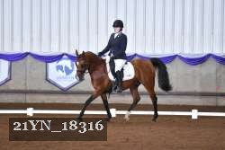 21YN_18316 thumbnail