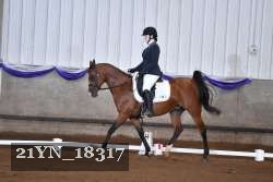 21YN_18317 thumbnail
