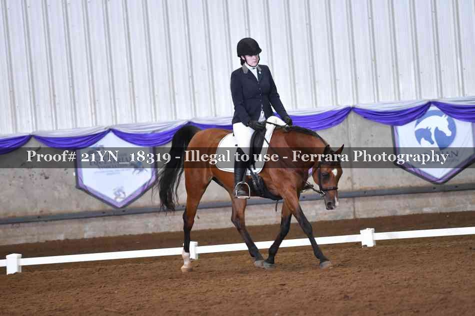 Proof Number 21YN_18319