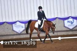 21YN_18319 thumbnail