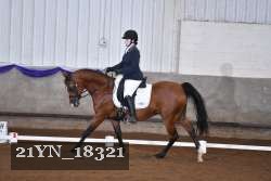 21YN_18321 thumbnail