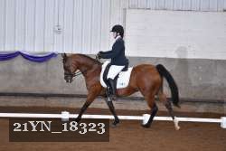 21YN_18323 thumbnail