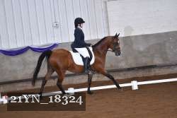 21YN_18324 thumbnail
