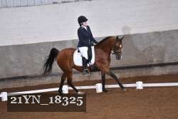 21YN_18325 thumbnail