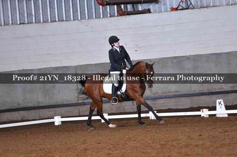 Proof Number 21YN_18328