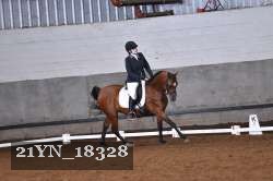 21YN_18328 thumbnail