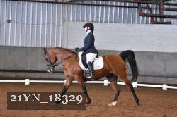 21YN_18329 thumbnail